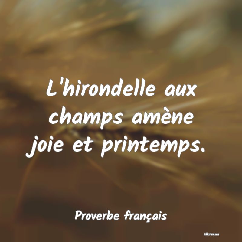 L'hirondelle aux champs amène joie et printemps....