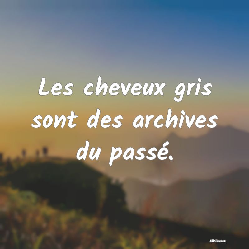 Les cheveux gris sont des archives du passé.
...