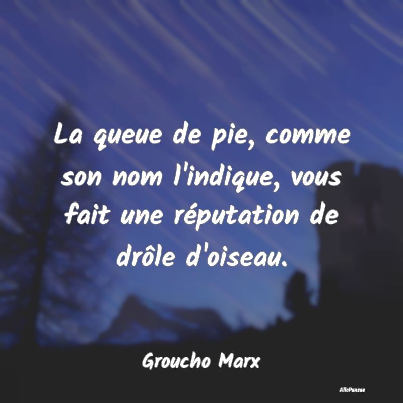 La queue de pie, comme son nom l'indique, vous fai...