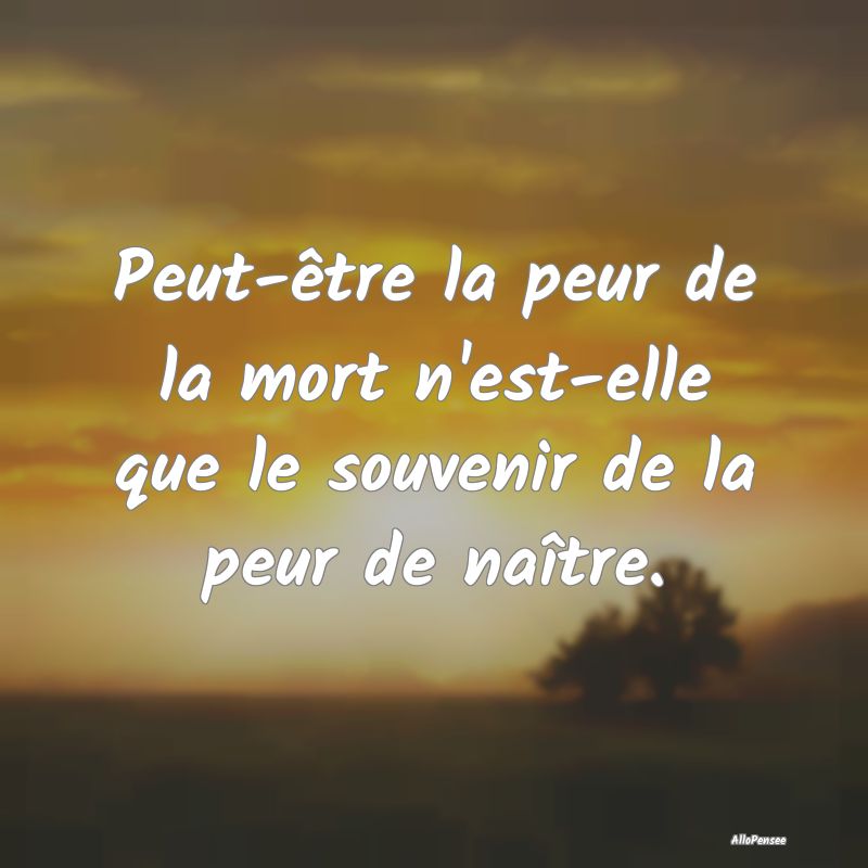 Peut-être la peur de la mort n'est-elle que le so...