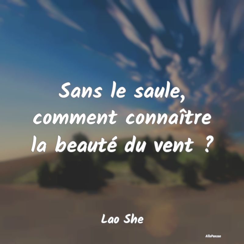 Sans le saule, comment connaître la beauté du ve...