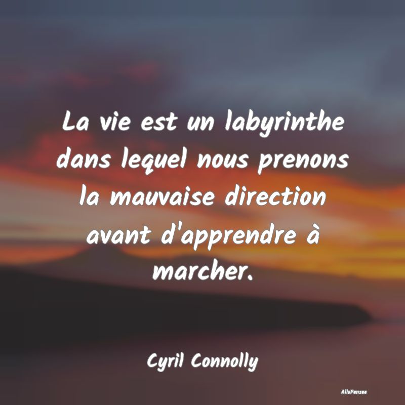 La vie est un labyrinthe dans lequel nous prenons ...