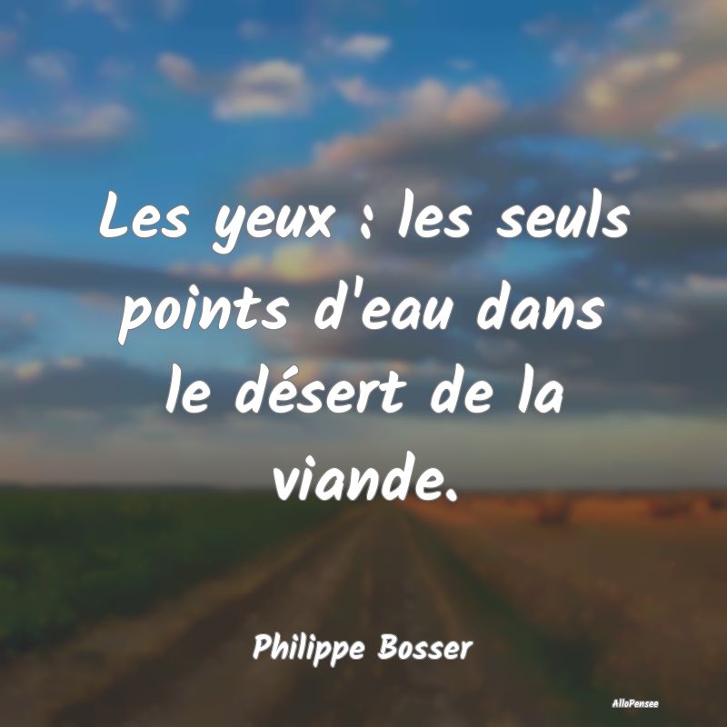 Les yeux : les seuls points d'eau dans le désert ...