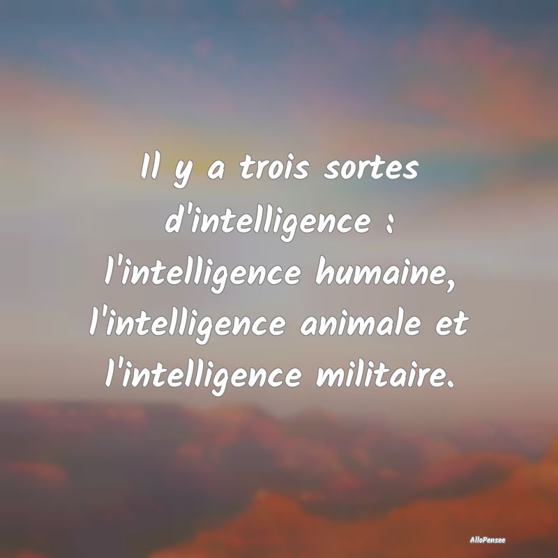 Il y a trois sortes d'intelligence : l'intelligenc...
