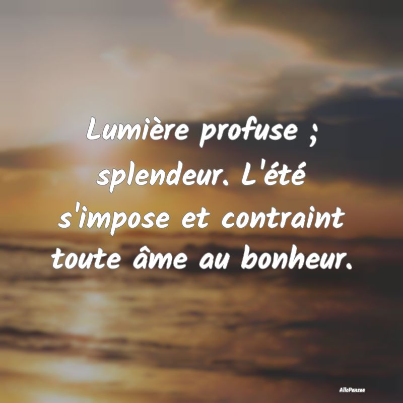 Lumière profuse ; splendeur. L'été s'impose et ...