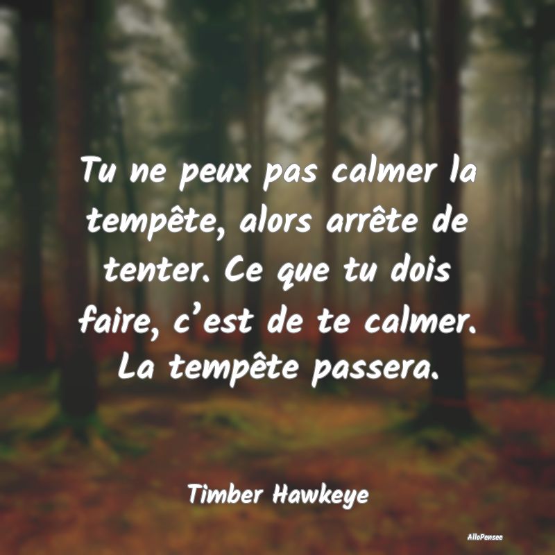 Tu ne peux pas calmer la tempête, alors arrête d...