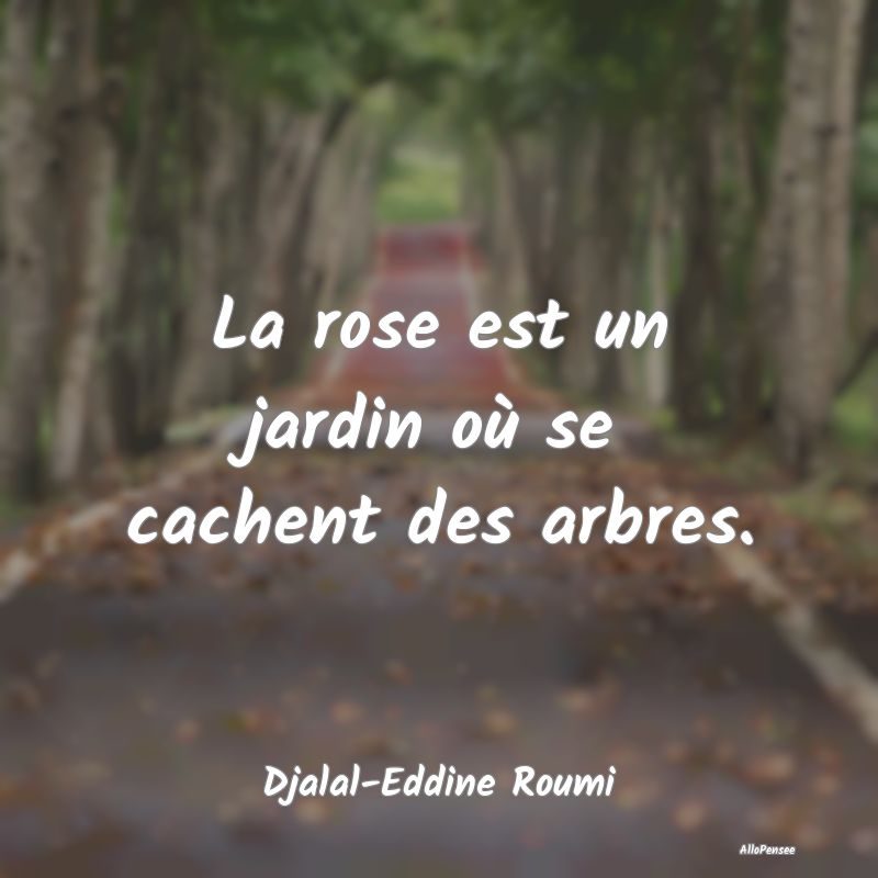 La rose est un jardin où se cachent des arbres....