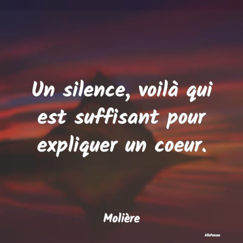 Un silence, voilà qui est suffisant pour explique...