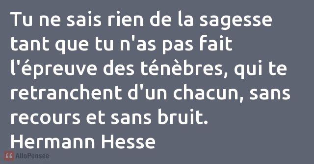 Hermann Hesse Tu Ne Sais Rien De La Sagesse Tant Que Tu N As Pas