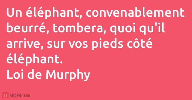 Loi De Murphy Un Elephant Convenablement Beurre Tombera Quoi